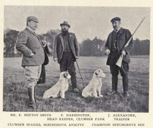 Photograph of 1902 of
two working Clumbers