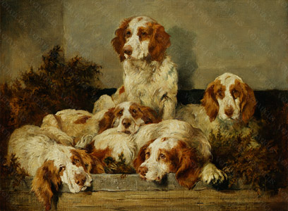 Venaticus Collection - A Kennel At Ease