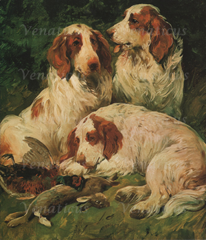 Venaticus Collection - A rest Between Labours