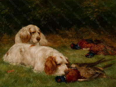 Venaticus Collections - Clumber Spaniels and Pheasants