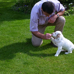 James Darley with Clumber puppy using hand to emulate teats